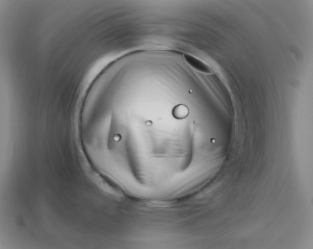 X0000113541488200910091233