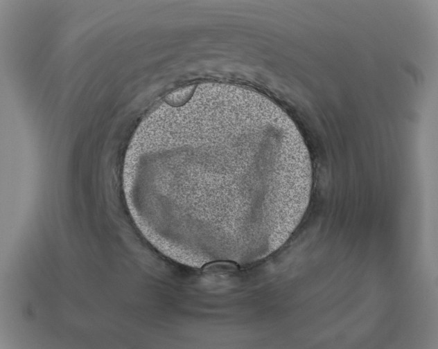 X0000113541489200910091232