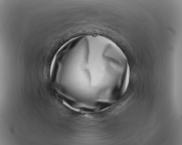 X0000113541490200910091232