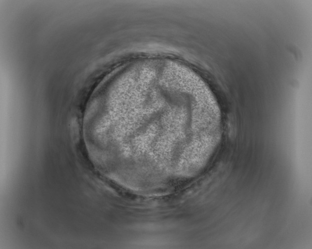 X0000113541493200910091232