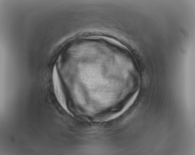 X0000113541494200910091232