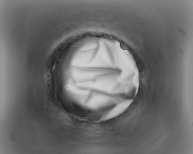 X0000113541495200910091232