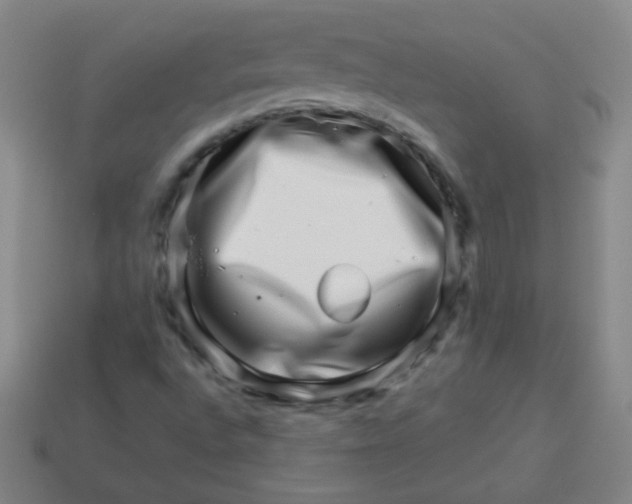 X0000113541496200910091232