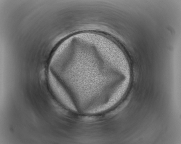 X0000113541497200910091232