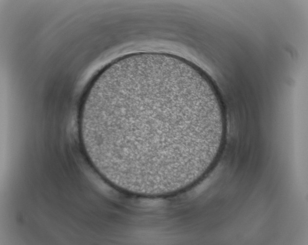 X0000113541498200910091232