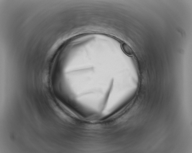 X0000113541499200910091232