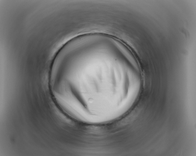 X0000113541500200910091232