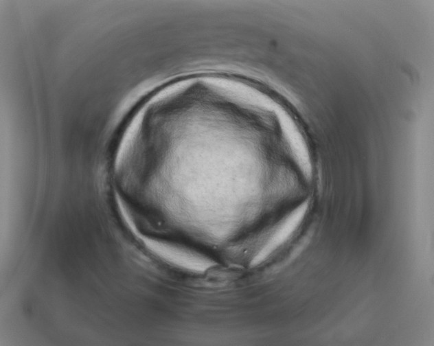 X0000113541501200910091232