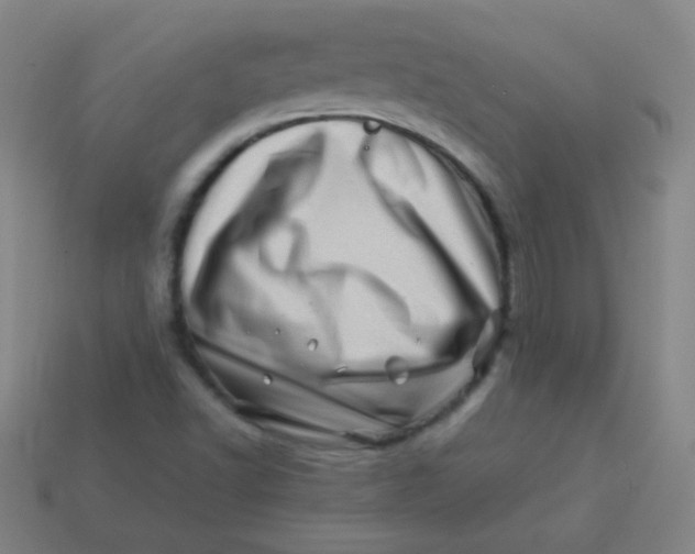 X0000113541502200910091232