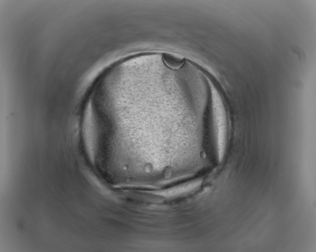 X0000113541503200910091232