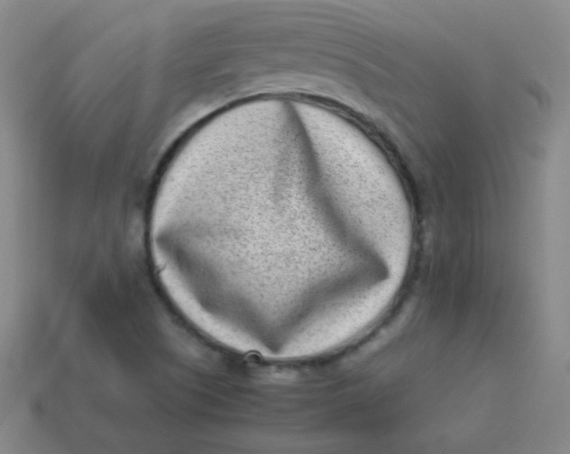 X0000113541505200910091232