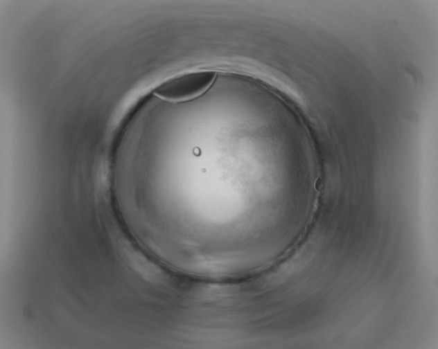 X0000113541506200910091232