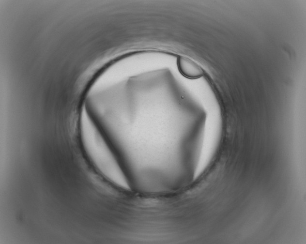 X0000113541507200910091232