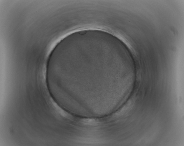 X0000113541508200910091233