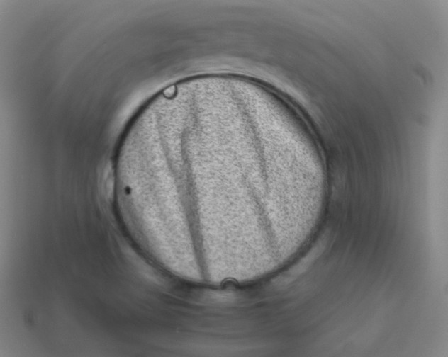 X0000113541509200910091233