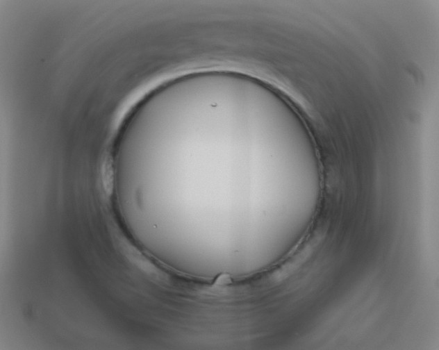 X0000113541510200910091233