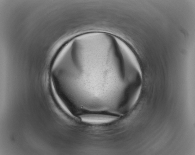 X0000113541511200910091233