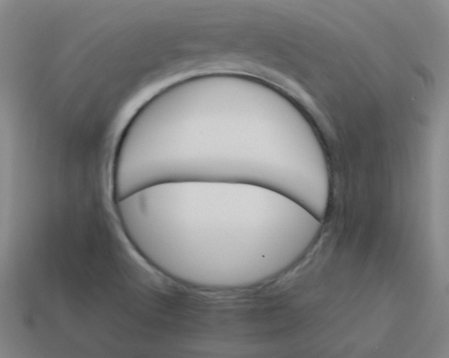 X0000113541512200910091233