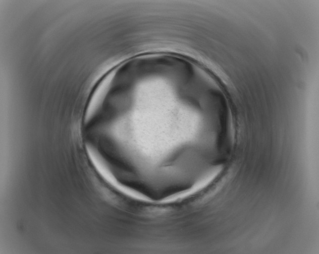 X0000113541513200910091233