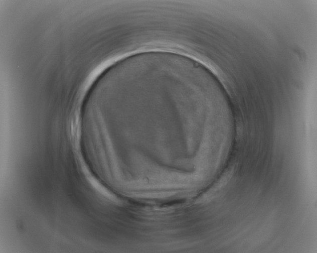 X0000113541515200910091233