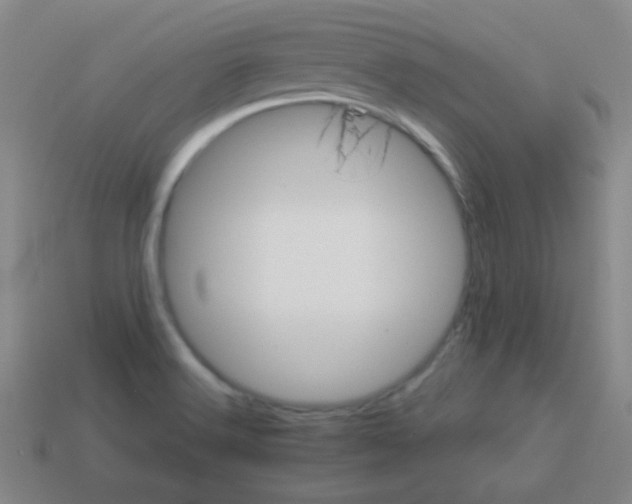 X0000113541516200910091233