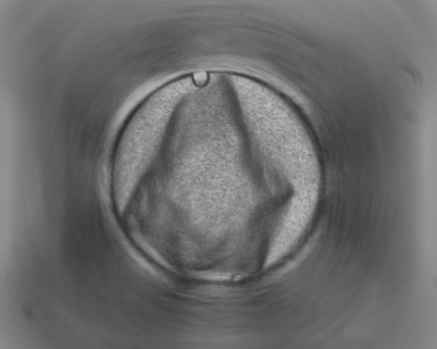 X0000113541517200910091233