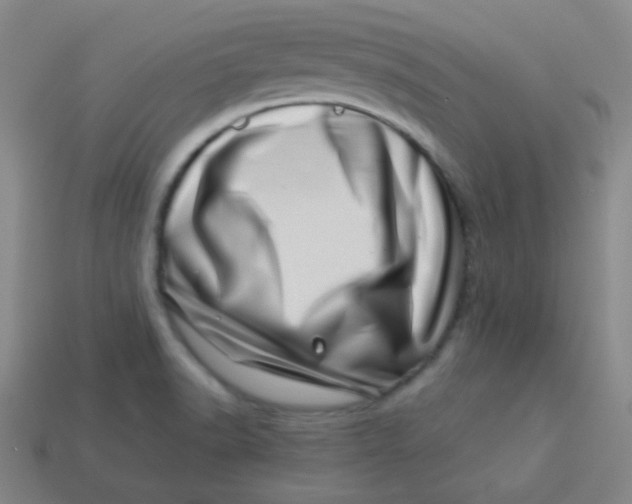 X0000113541518200910091233