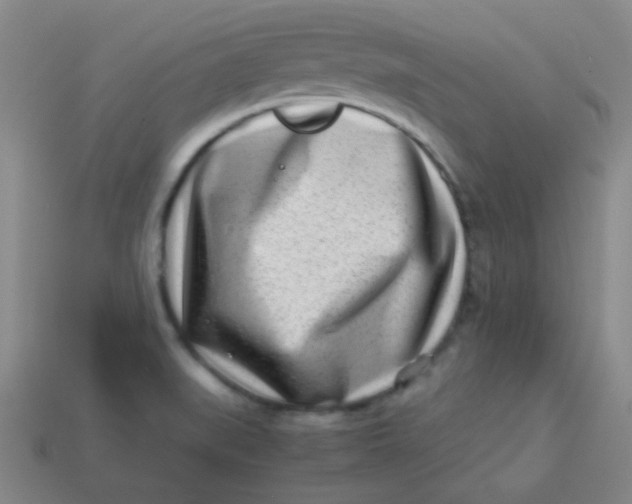 X0000113541519200910091233