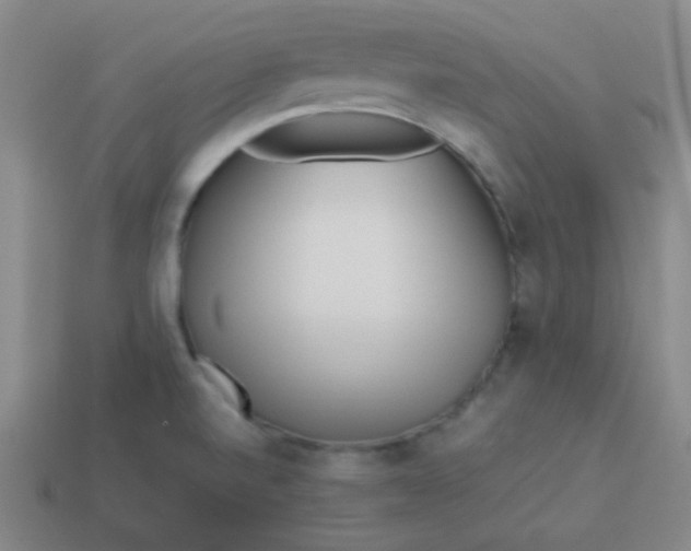 X0000113541520200910091233