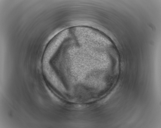 X0000113541521200910091233