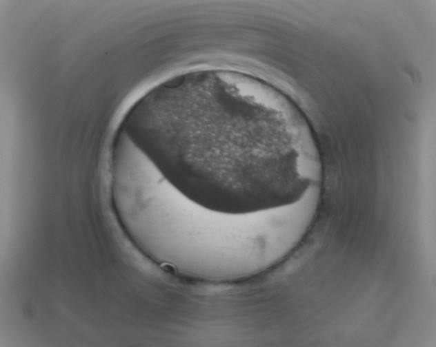 X0000113541522200910091233