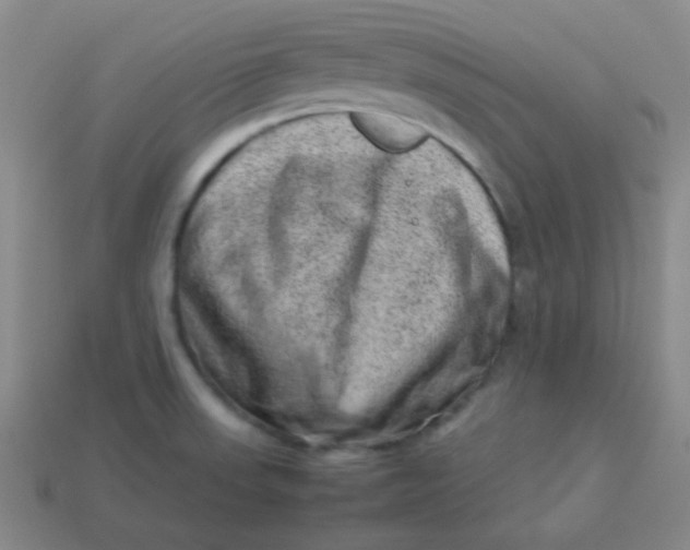 X0000113541523200910091233