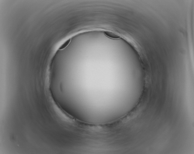 X0000113541524200910091233