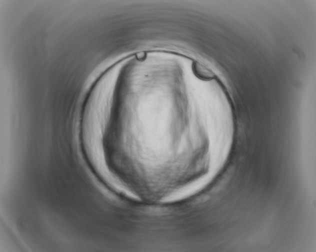 X0000113541525200910091233