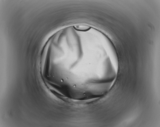 X0000113541526200910091233