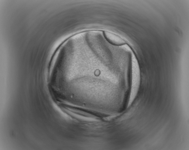 X0000113541527200910091233