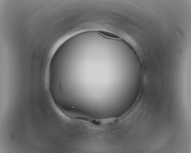 X0000113541528200910091233