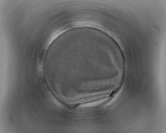 X0000113541529200910091233