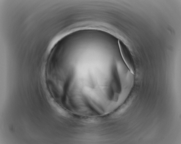 X0000113541530200910091233