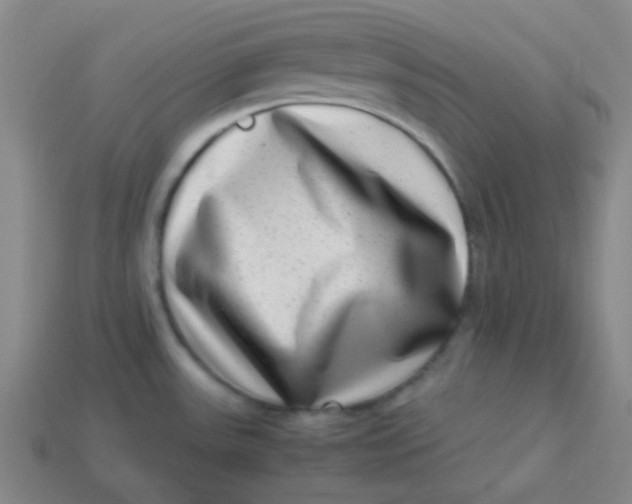 X0000113541531200910091233