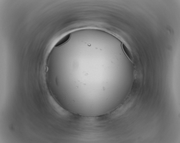 X0000113541532200910091233