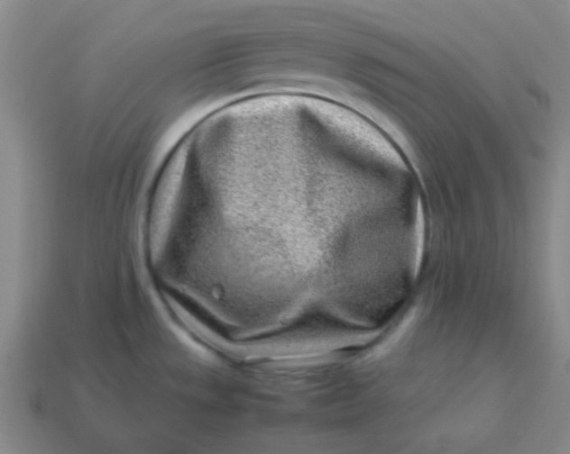 X0000113541533200910091233