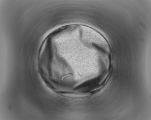 X0000113541534200910091233