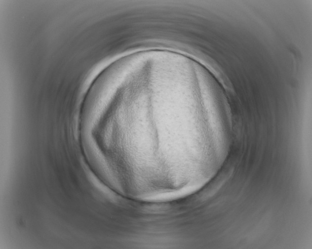 X0000113541535200910091233