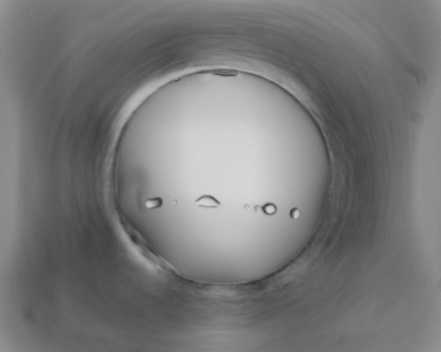 X0000113541536200910091233