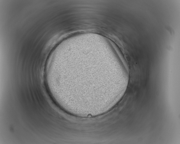 X0000113540002200910161422