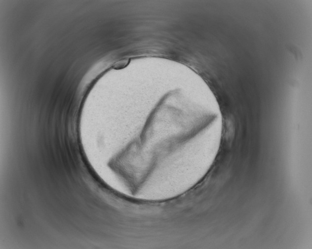 X0000113540004200910161422