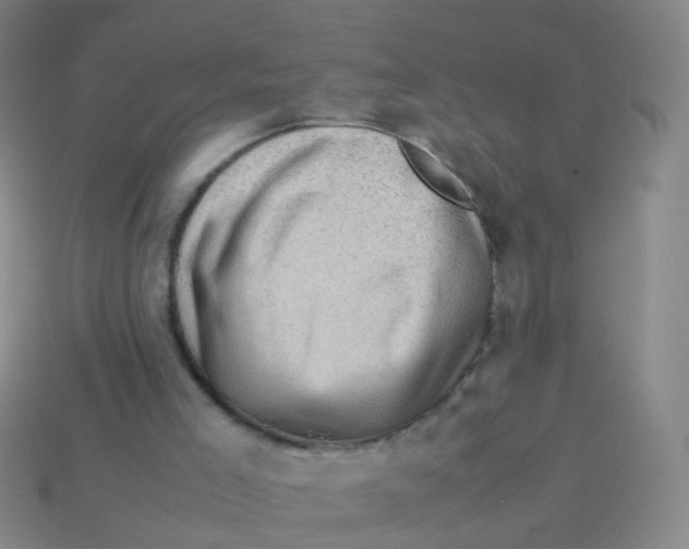 X0000113540005200910161422