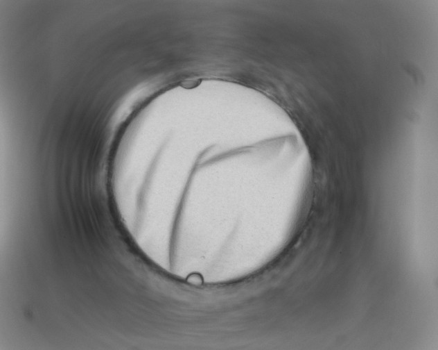 X0000113540006200910161422