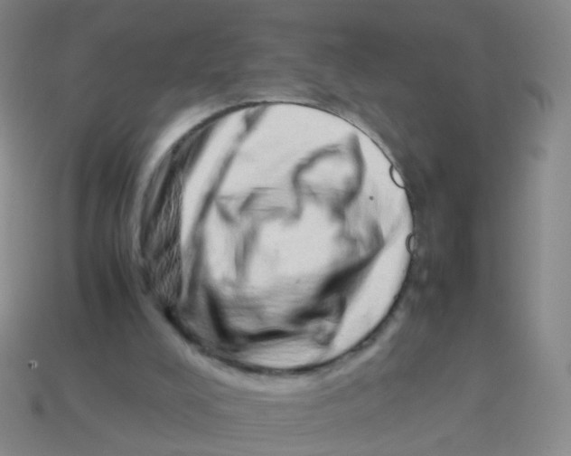 X0000113540008200910161422